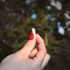 Radiance & Revive: Vitamins 9 Radiance & Revive: Vitamins -Ffs Sales Store IMG 3082 2