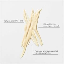 The Daily Shield -Ffs Sales Store Mantle TheSPF USPs EN